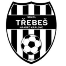 TJ Sokol Srbice